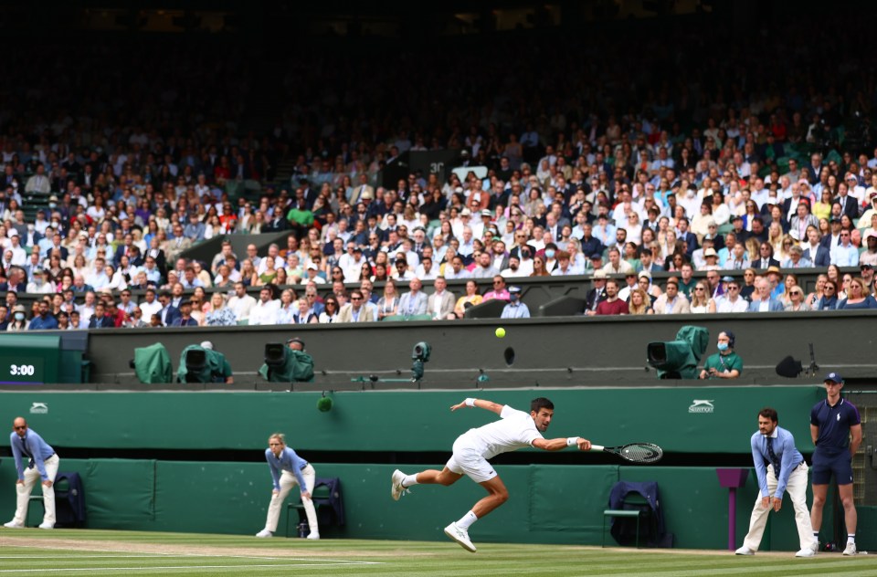 Djokovic and Berrettini wowed the Centre Court crowds at Wimbledon