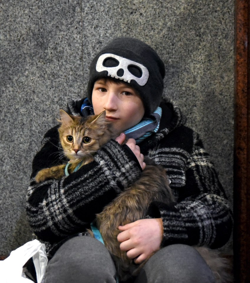 A Ukrainian refugee and his cat at Lviv train station