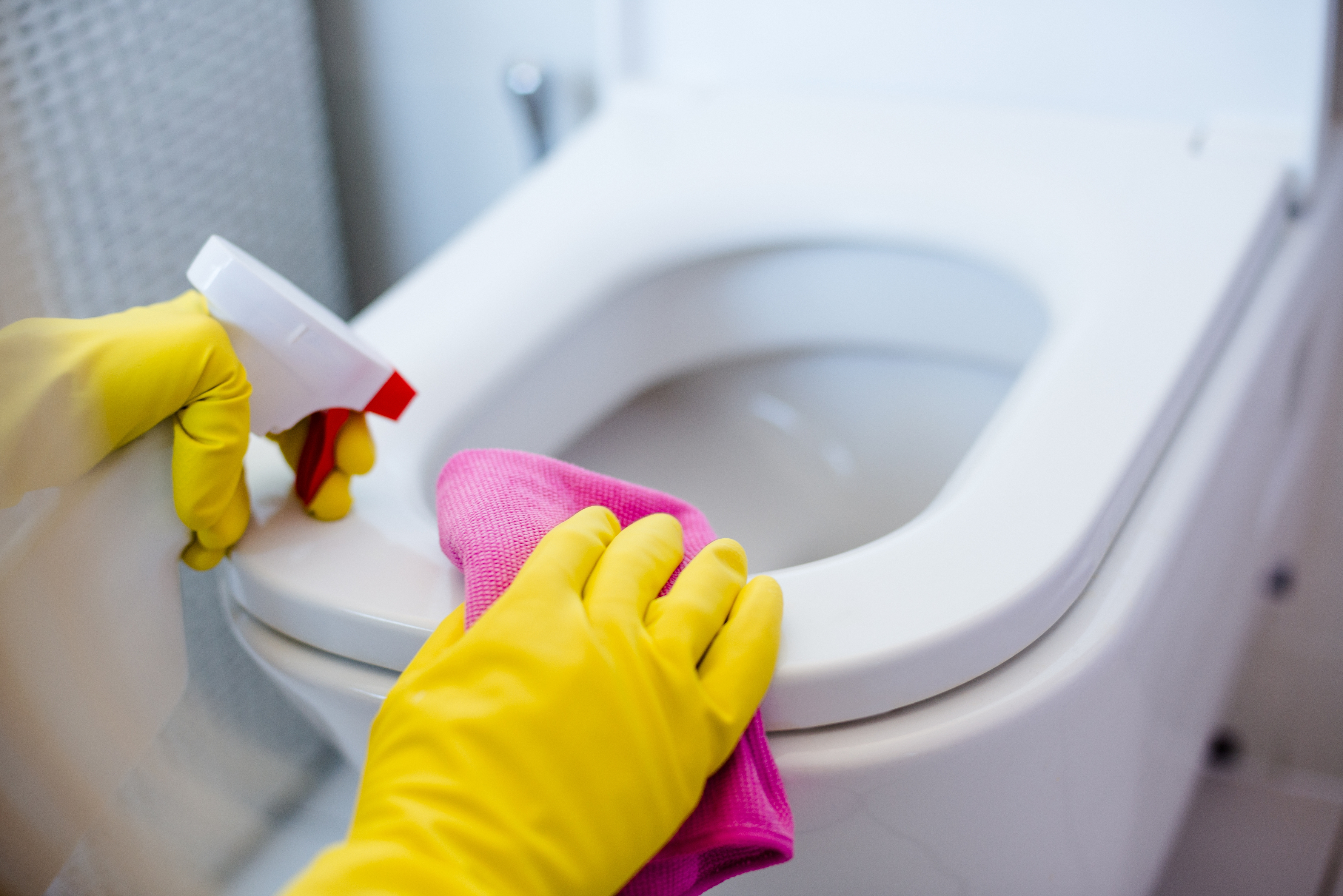 If you haven't got time to go through all the options on how to clean your toilet, we've got you covered