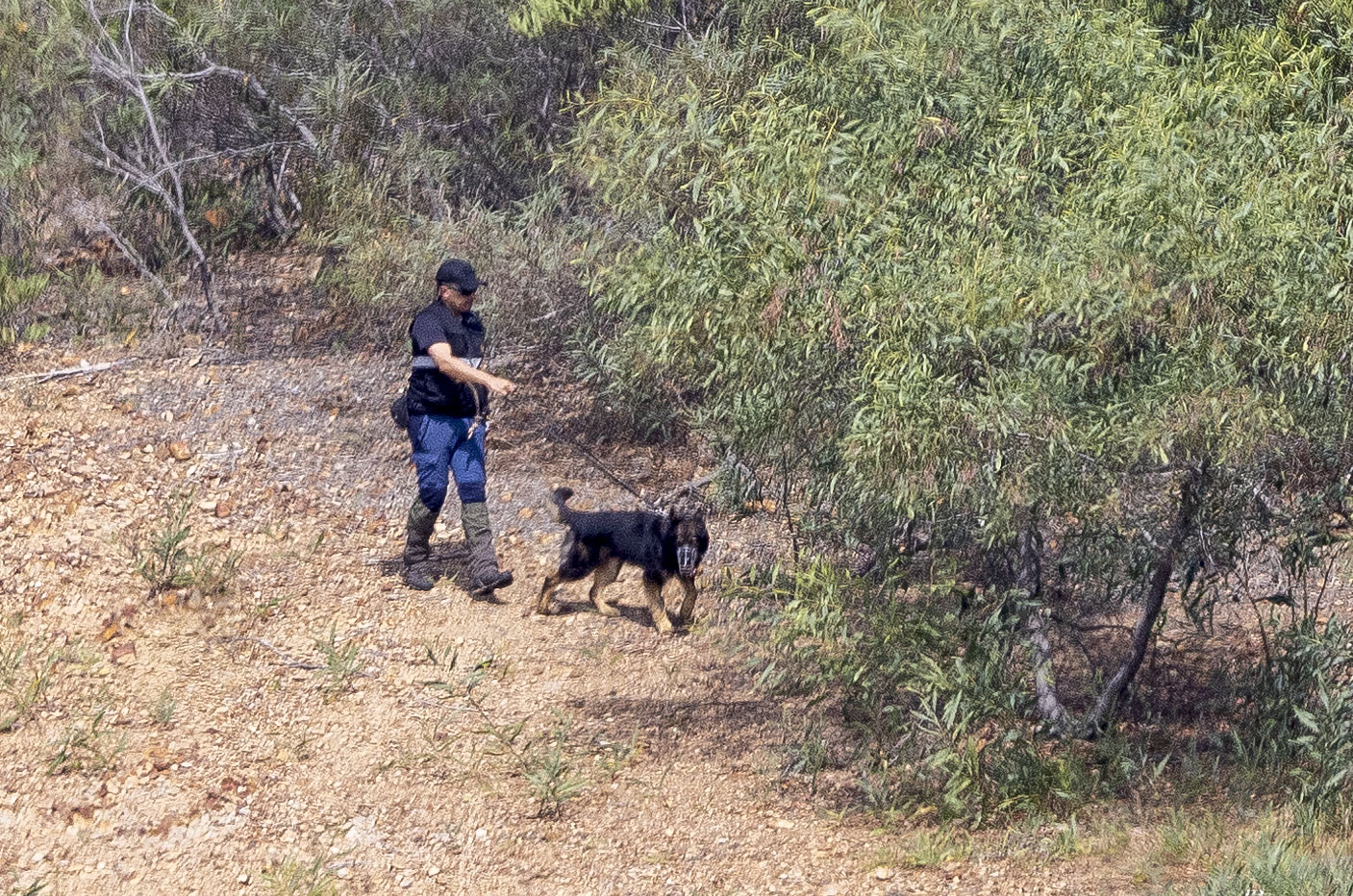 At least two sniffer dogs were drafted in to help with the search