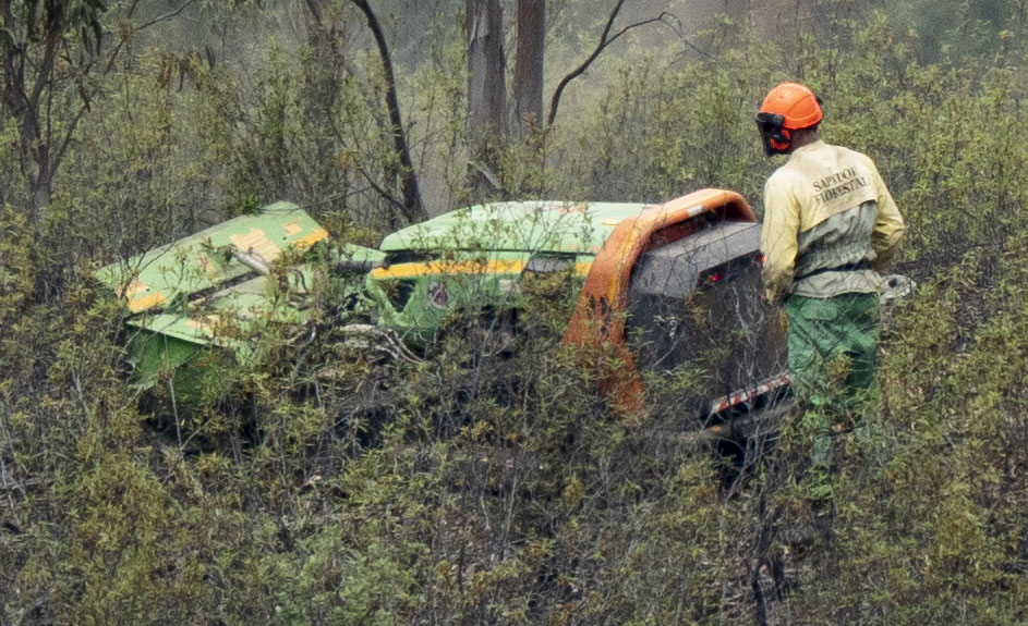 A rotavator-style machine has been brought in to power through the undergrowth