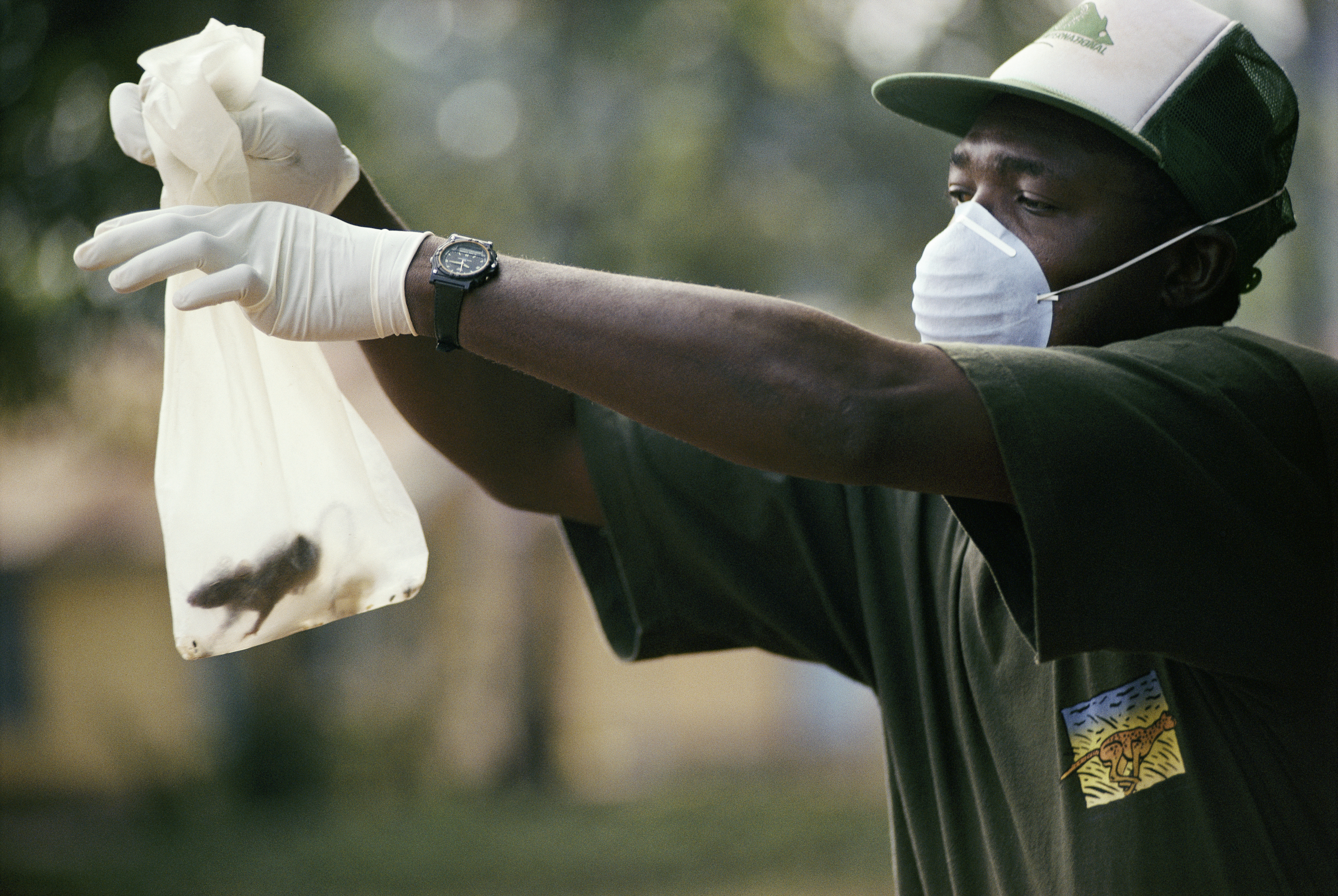 Nigerian officials are launching a national rat removal programme to deal with surging Lassa fever