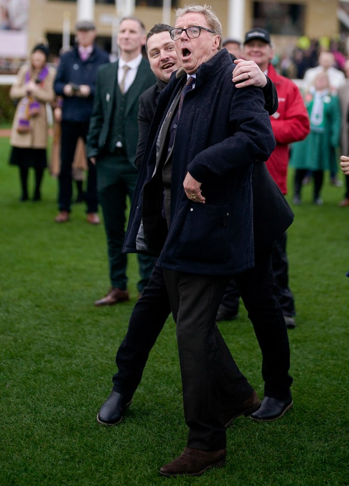 Harry Redknapp wildly celebrated his first Cheltenham Festival win