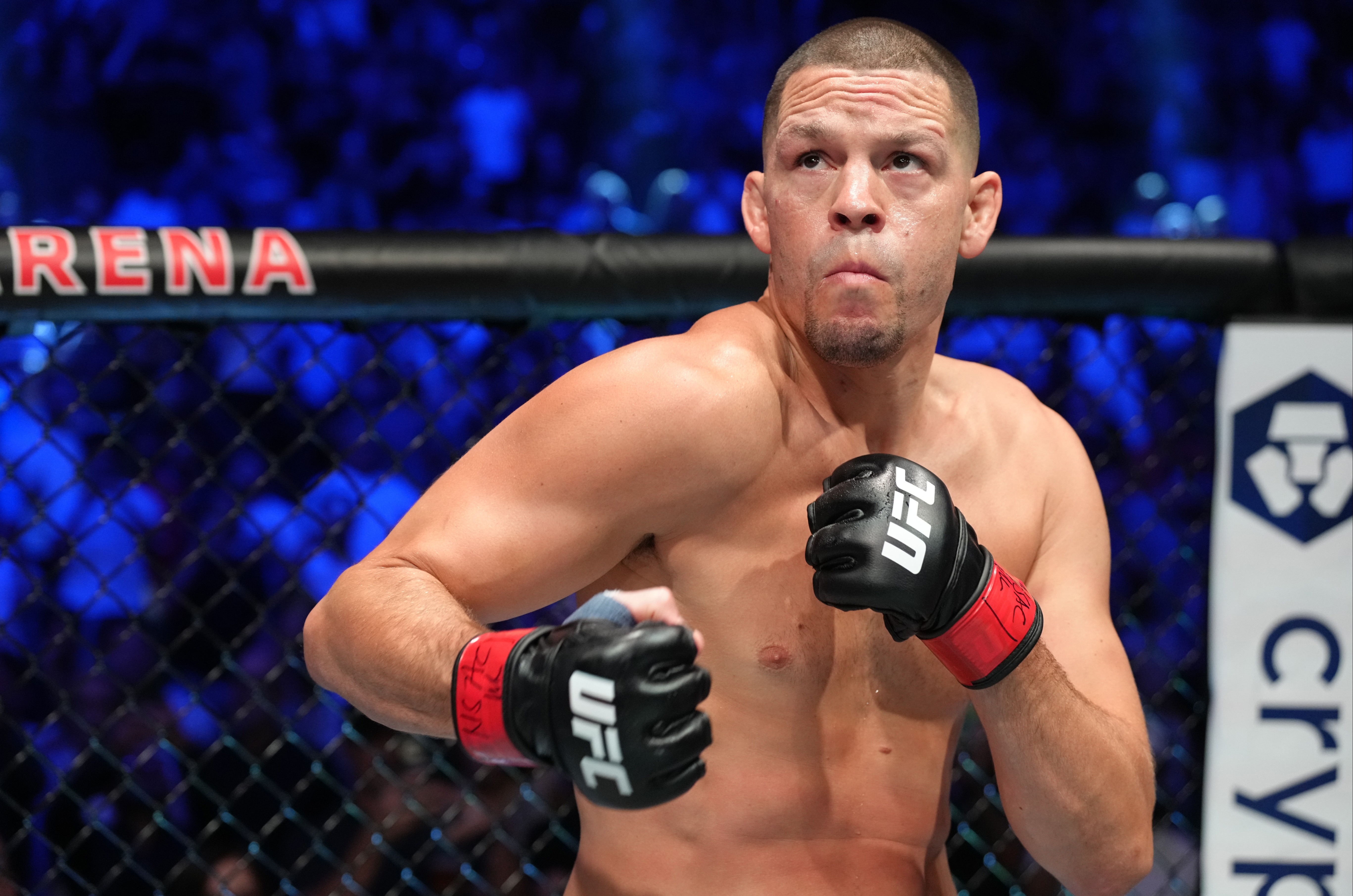 Nate Diaz has shared support for the Irishman