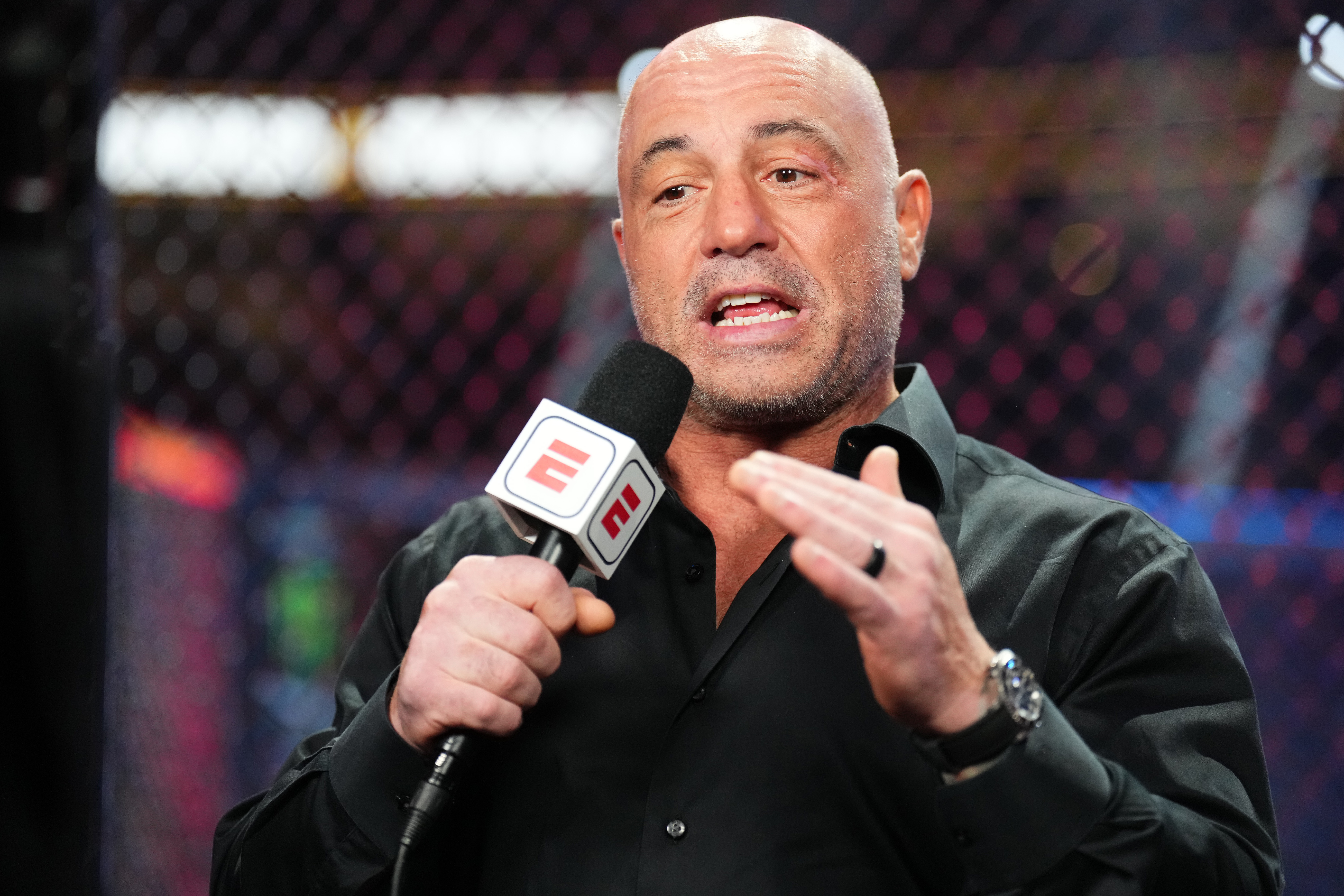 But UFC commentator Joe Rogan does not agree