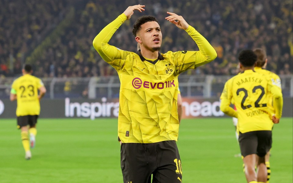 Borussia Dortmund have enjoyed an unexpected run to the final