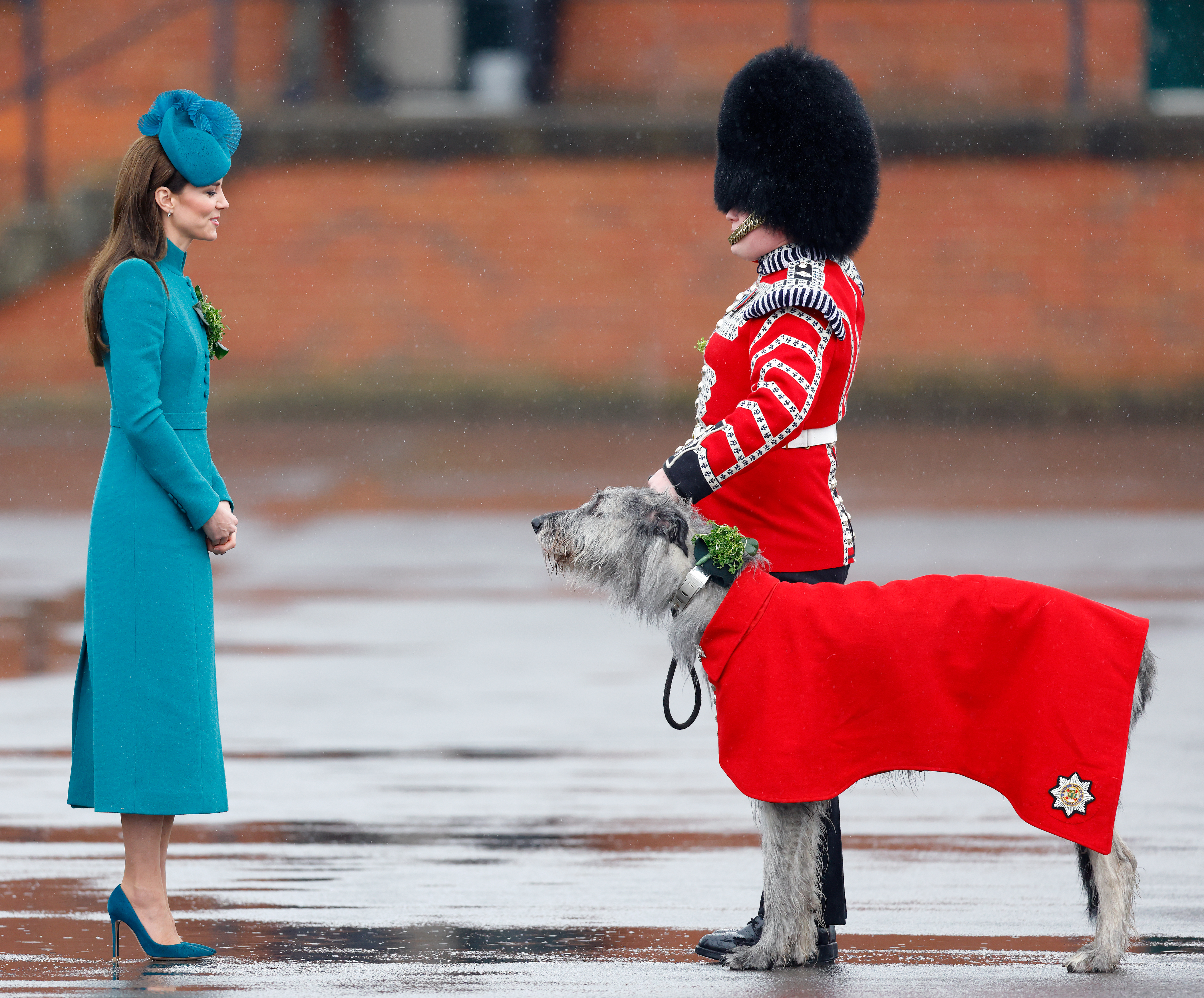 Princess Kate, pictured with mascot Turlough Mor in March last year, is Colonel of the regiment