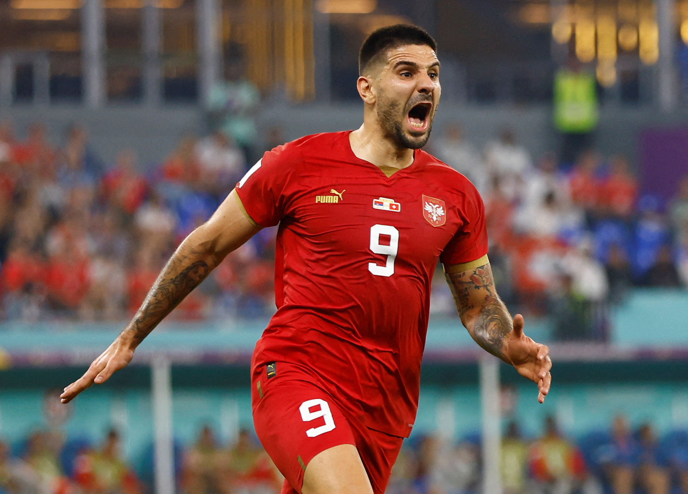 Aleksandar Mitrovic was on the scoresheet against Sweden