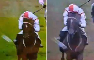 Furious punters demand lifetime ban for 'muppet' who threw beer at winning horse