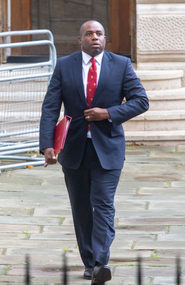 New foreign secretary David Lammy called for his release earlier today