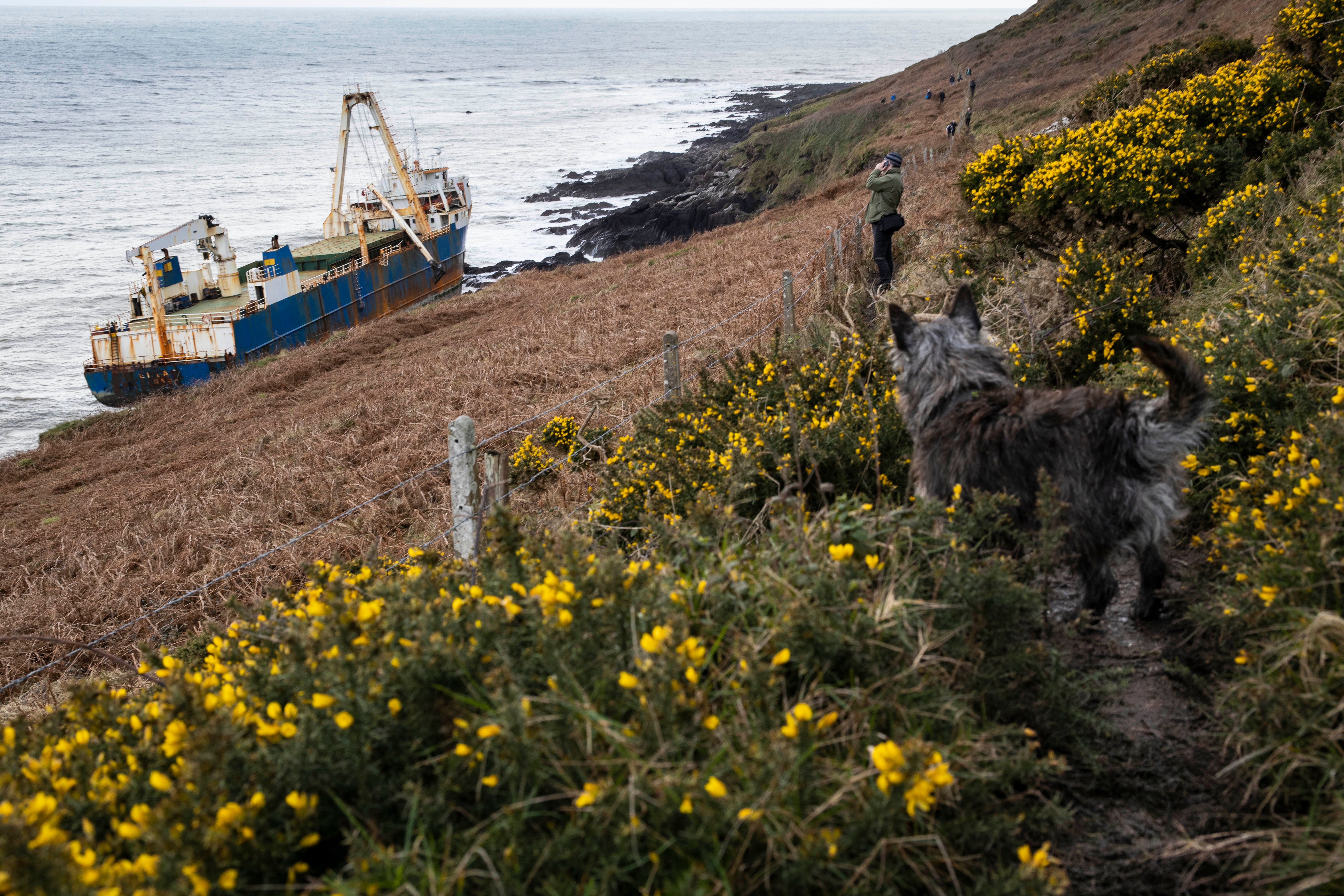 A jogger who was out for a Sunday lunchtime run spotted the ship