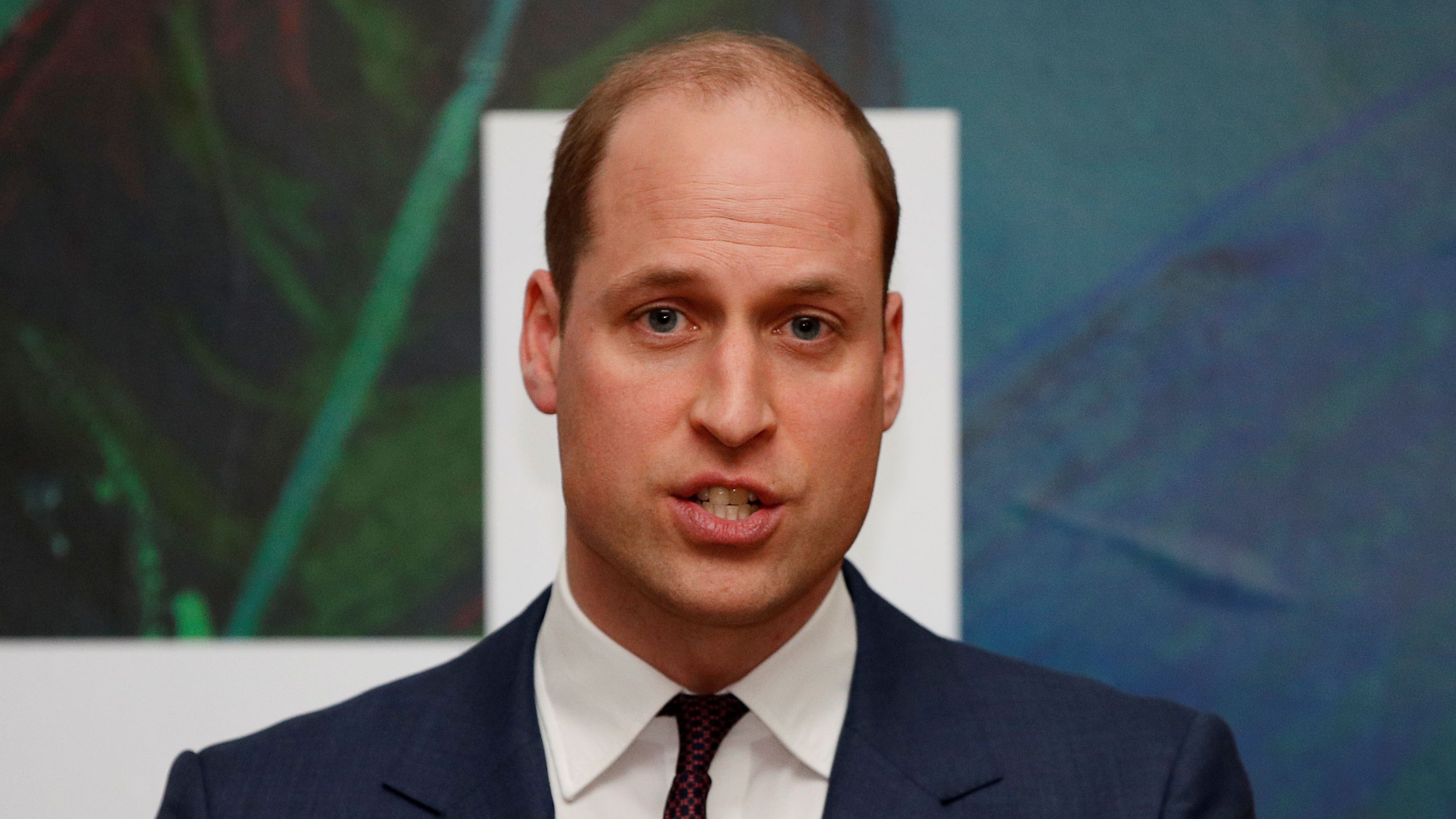 William ‘may offer duchy to help house the homeless’