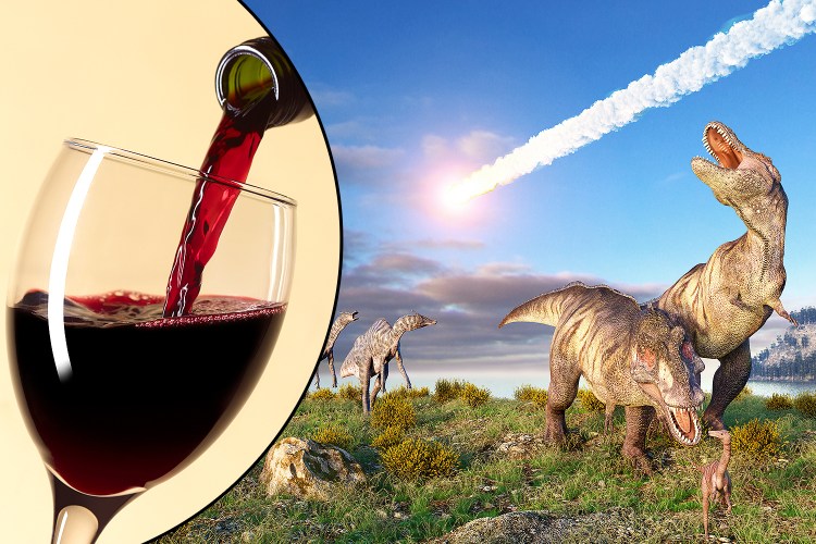 How death of the dinosaurs led to birth of wine