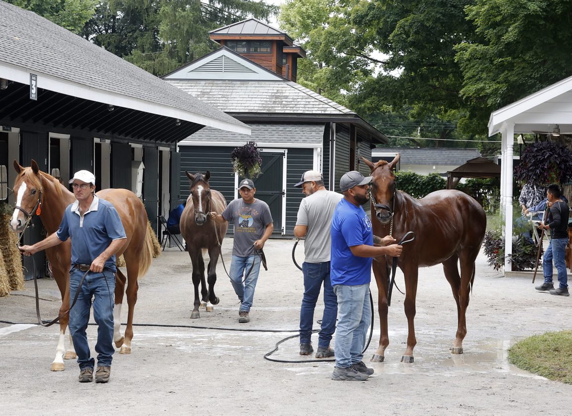 New York-Bred Yearlings Take Center Stage Sunday at Fasig-Tipton