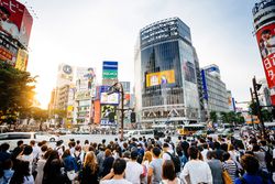 Sunset at Shibuya Crossing In Tokyo, Japan