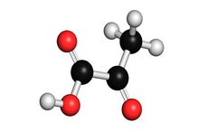 Pyruvic acid molecule