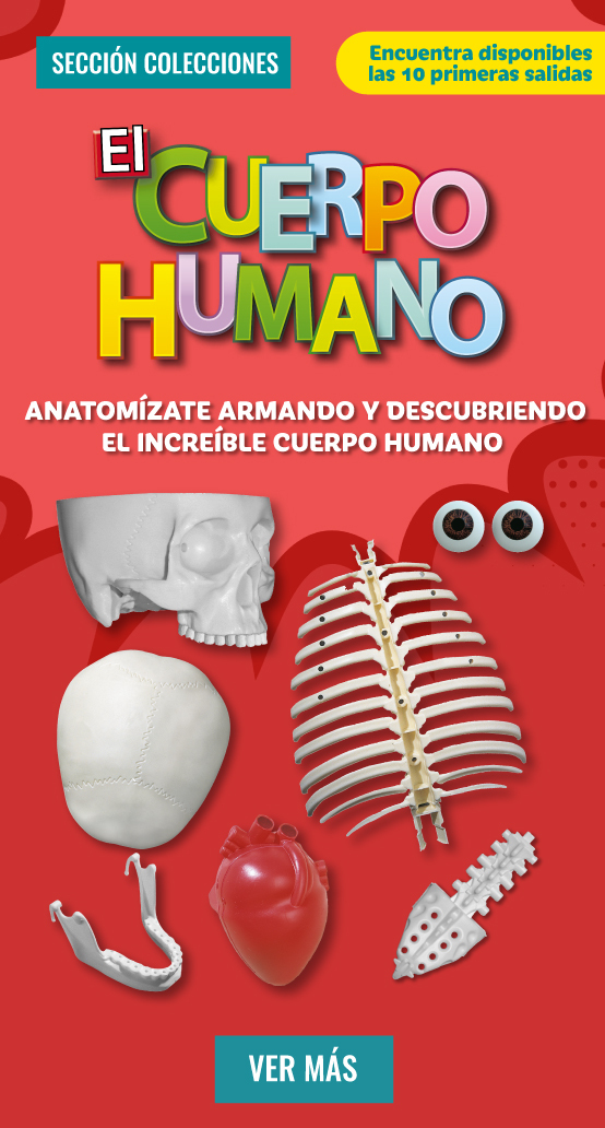 Pre venta Cuerpo Humano