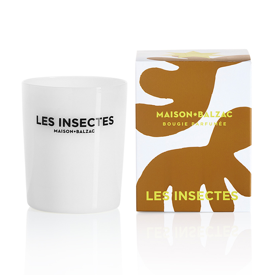 נר LES INSECTES