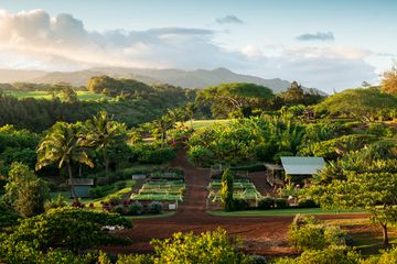 Kukui'ula Farm at Kukuiula Resort