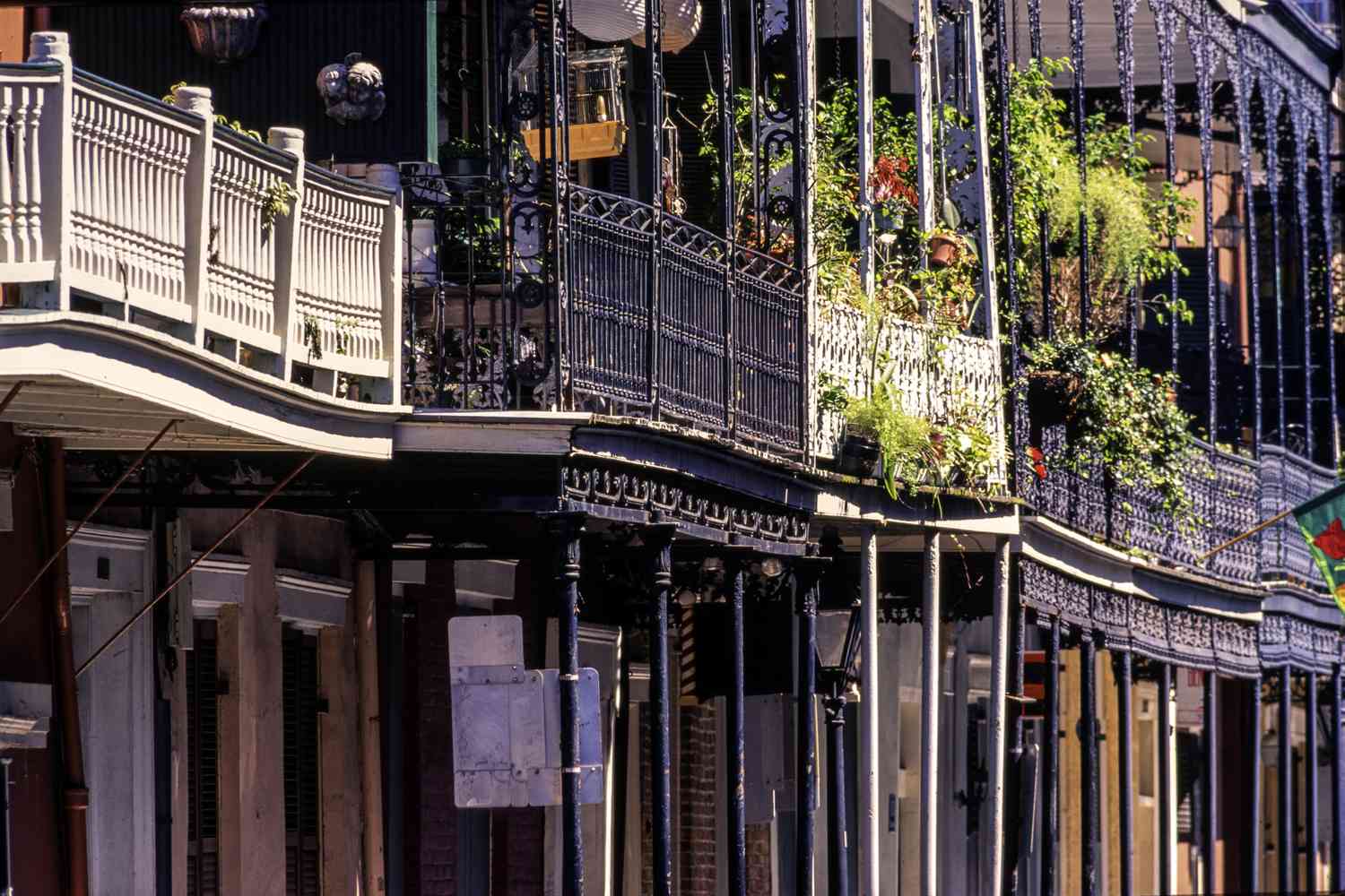 Row of historic buildings with wrought-iron balconies in the French Quarter of New Orleans