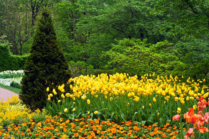 Mixed flowers at Longwood Gardens in Kennett Square, Pennsylvania