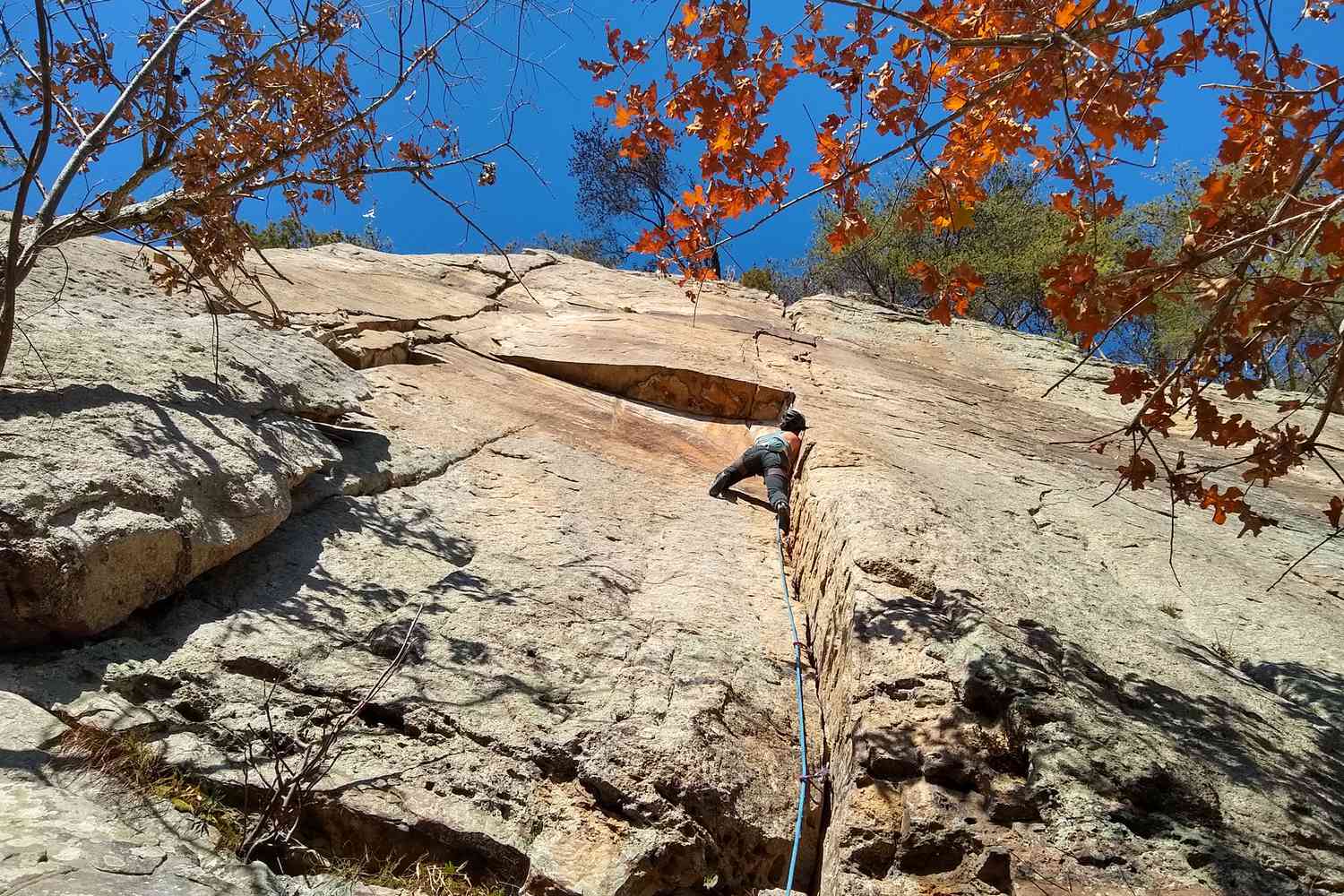 A woman rockclimbing on a mountain in Chattanooga, TN