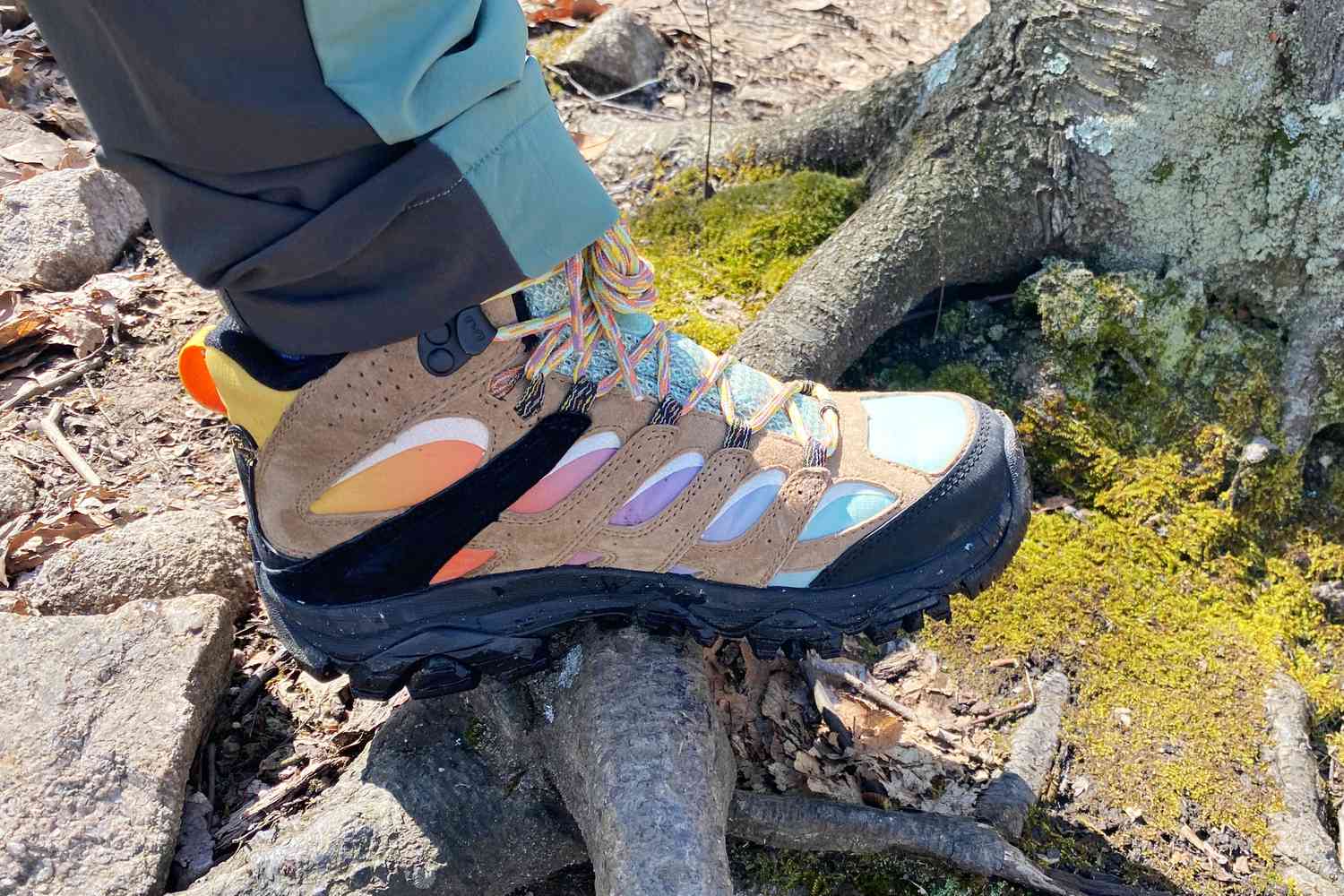 Person Standing on tree root wearing Merrell Moab 3 GTX Mid Hiking Boots