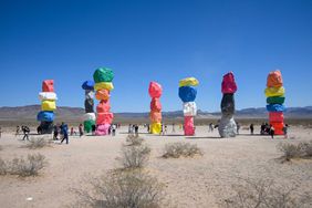 A crowd of people walking around taking photos among the art installation Seven Magic Mountains