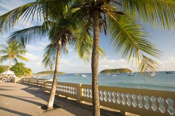 Malecon boardwalk and palm trees, with Cayo Afuera island in distance. | Location: Esperanza, Vieques, Puerto Rico.