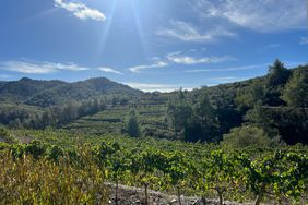 View of vineyards at Mas d'en Bruno in Priorat, Spain