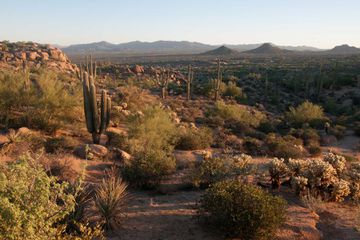 Pinnacle Peak is a park in Scottsdale Arizona which has hiking trails and many desert plants in the hills of Arizona.