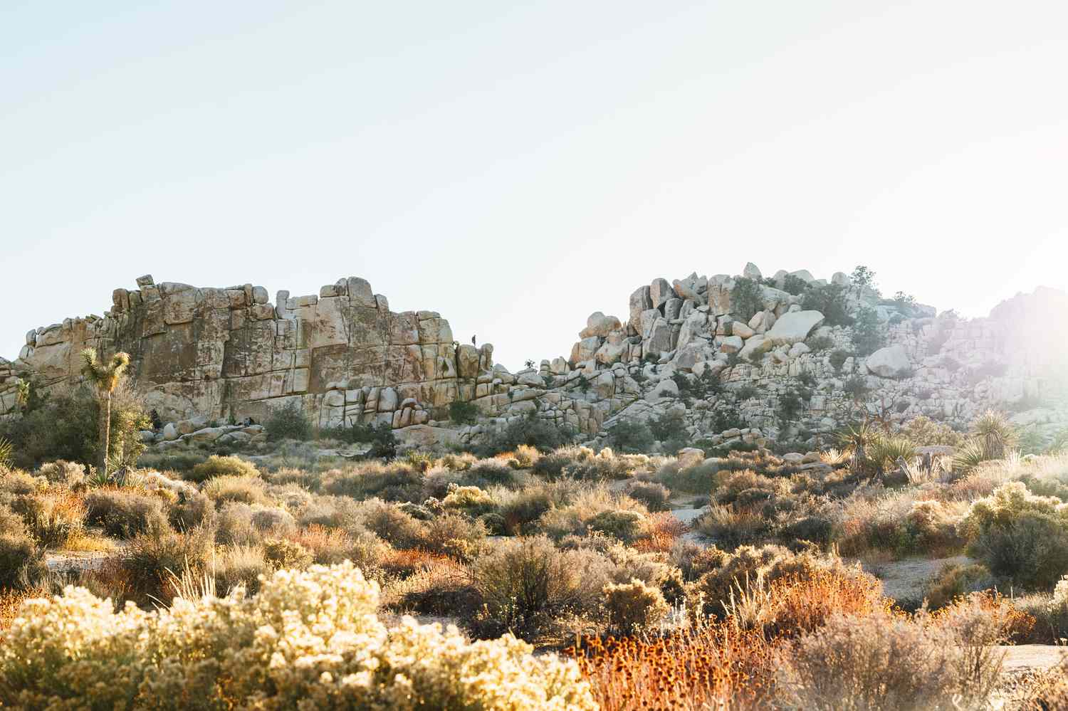 Rock formations in Joshua Tree National Park