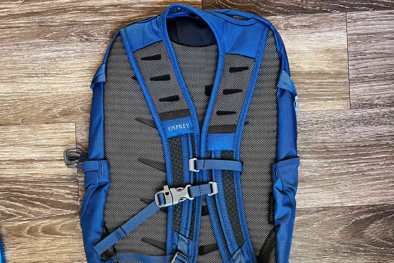 Back view of the Osprey Daylite Plus