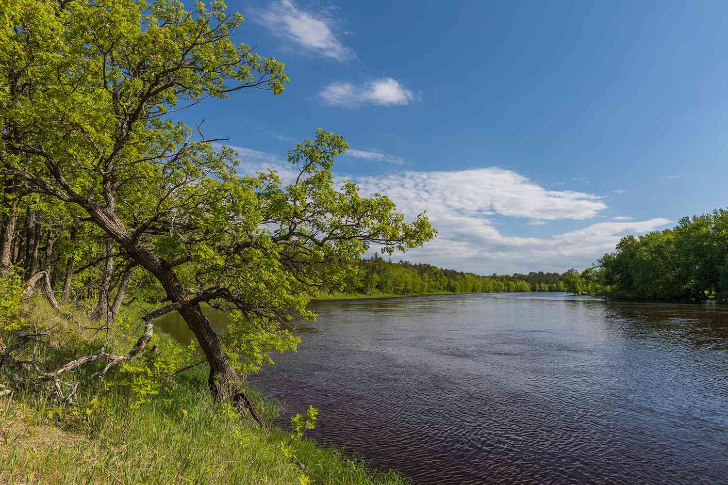 River view along Paul Bunyan State Trail in Minnesota