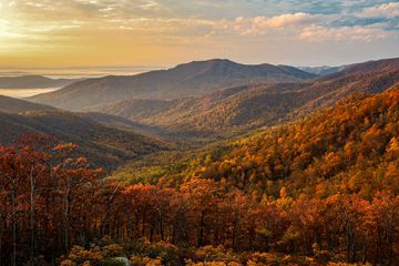 Fall in Shenandoah National Park