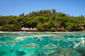 Turtle Island Fiji