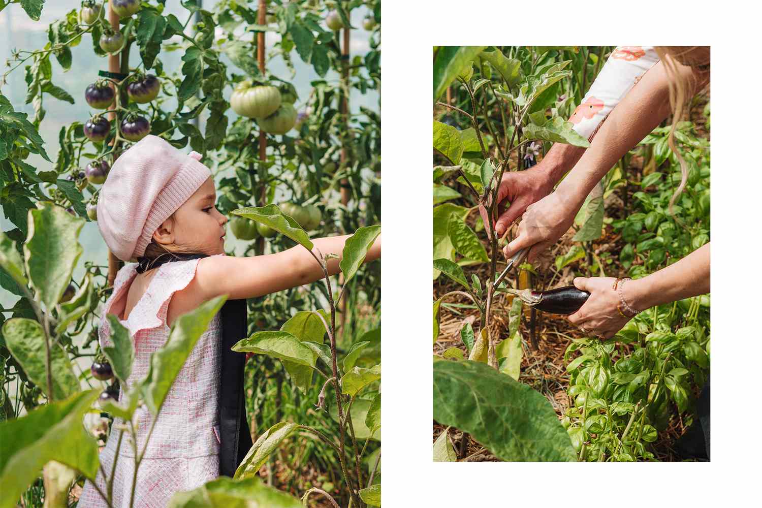 A young girl plays in a garden; hands tending to vegetables in a garden