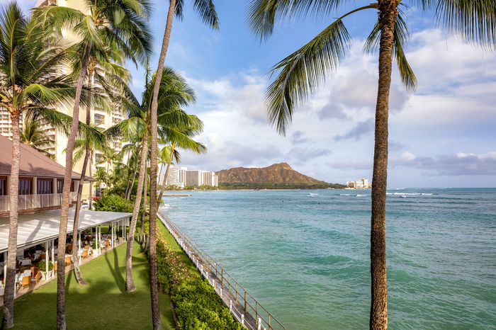 View of and from Halekulani Hotel