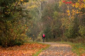 Someone biking on a trail in Danville, Vermont 