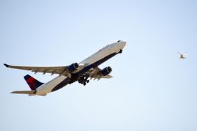 Airbus A 330-900 Delta Aircraft at the international airport of Fiumicino, Rome