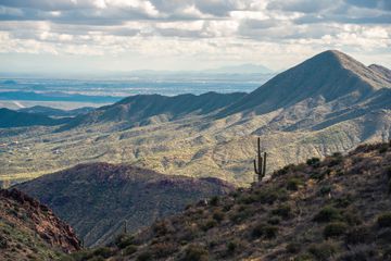 Lone saguaro stands tall amongst the majestic curves of the McDowell Mountains