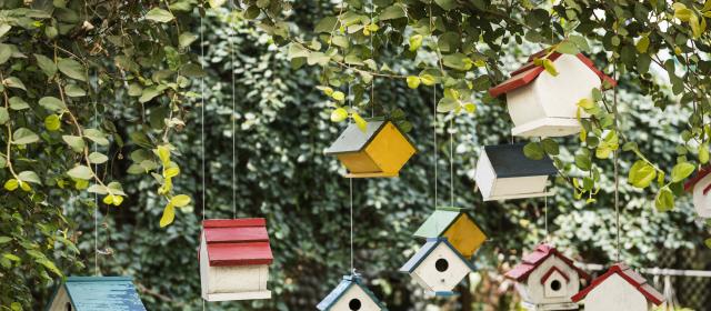 Bird houses