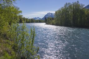 The sun glistens off the surface of Kenai River in Alaska