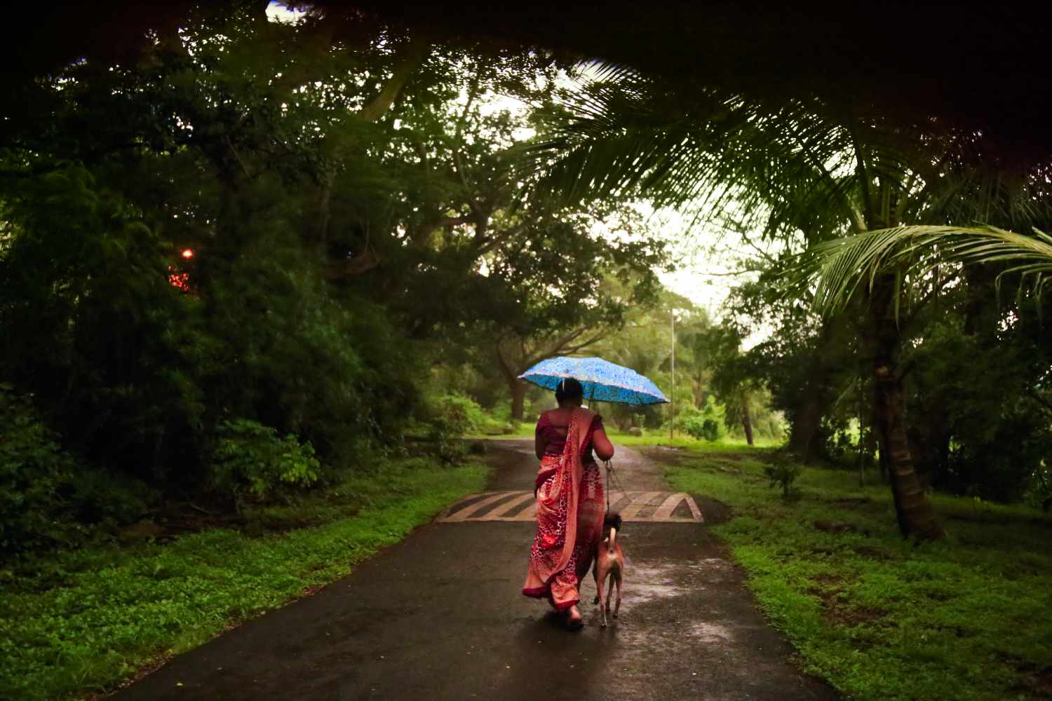 woman walks dog during monsoon in Mumbai