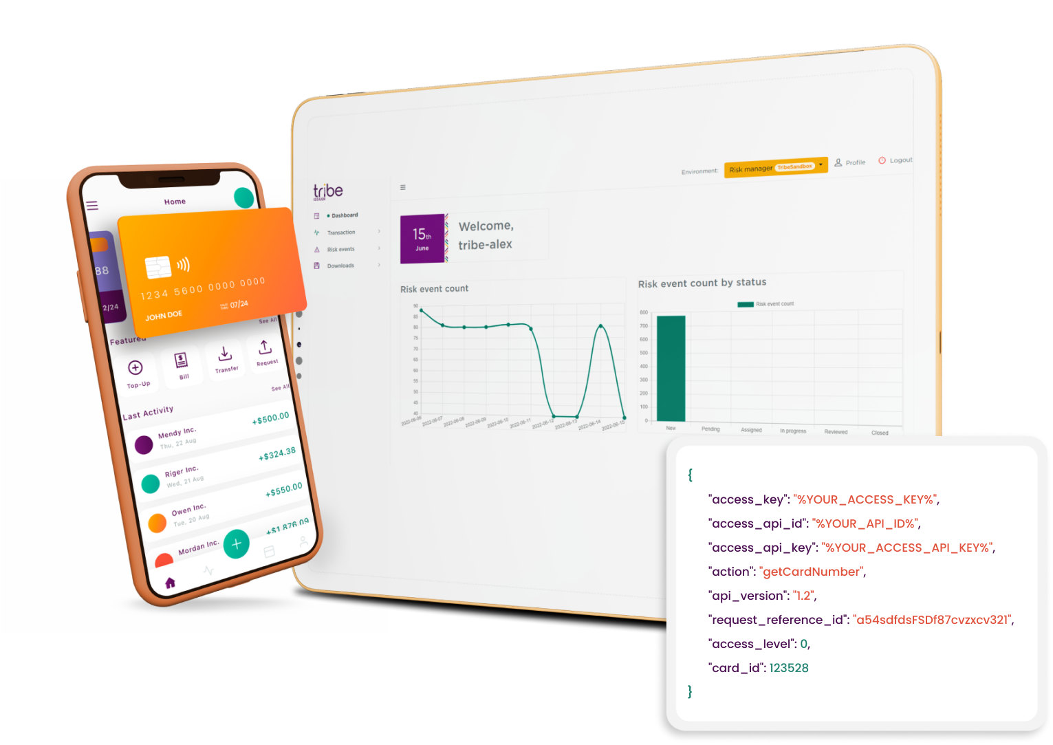 Tribe payments platform illustration