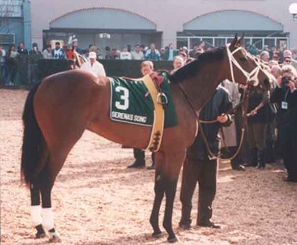 Sonia, Horse Racing at Turfway Park in Florence, KY