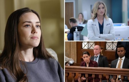 Megan Boone in The Blacklist, Emily VanCamp in The Resident, Jamie Gray Hyder, Demore Barnes in SVU