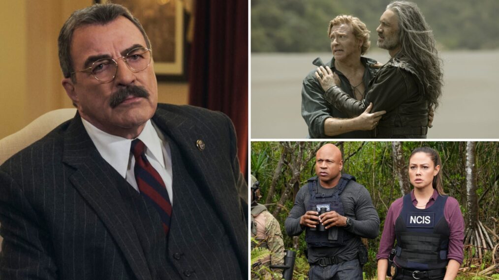 'Blue Bloods,' 'Our Flag Means Death,' 'NCIS: Hawai'i' and more canceled shows that could possibly be saved