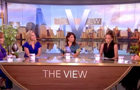 The View panel