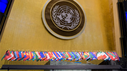 UN Member States flags